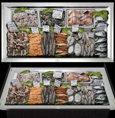 现代海鲜冰柜3D模型下载